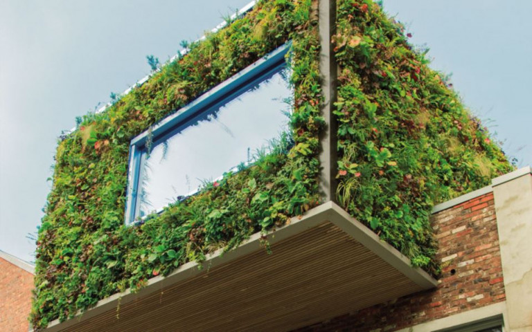 Voordelen SempergGreenwall